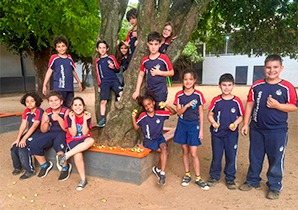 Ensino Fundamental I